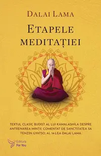 Etapele meditației - Paperback brosat
