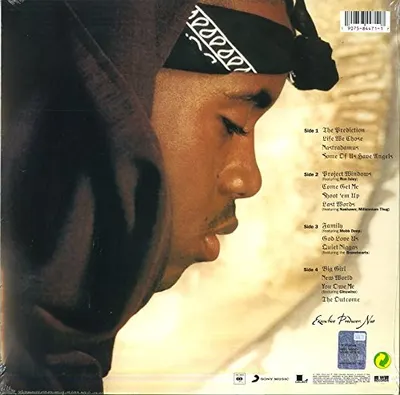 Nastradamus - Vinyl