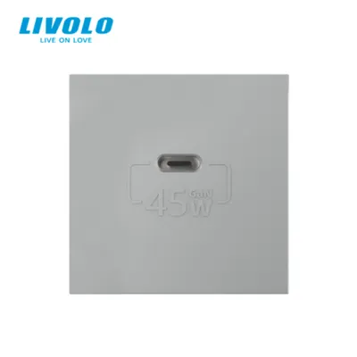 Modul priza simpla USB tip C Gri