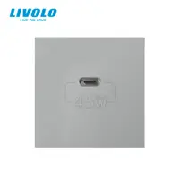 Modul priza simpla USB tip C Gri