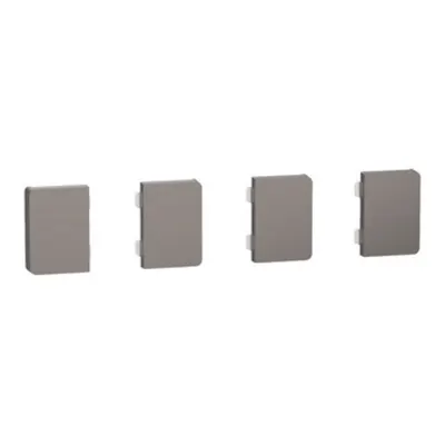 Set de 4 clapete 1/4 pentru Push buton KNX Dynamic Labeling System Design, nichel metalic