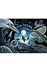 Ocean at Night