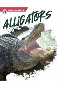 Alligators