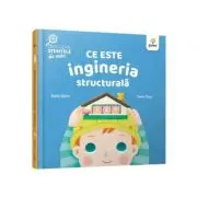 Ce este ingineria structurala