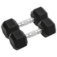 vidaXL Gantere, 2 buc., 8 kg, total fontă