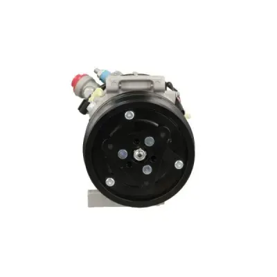 Compresor, climatizare BV PSH 090.815.005.876