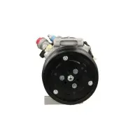 Compresor, climatizare BV PSH 090.815.005.876