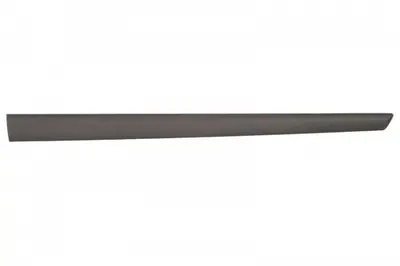 Bandou pentru usa fata dreapta FORD FIESTA 5 usi intre 2005-2008