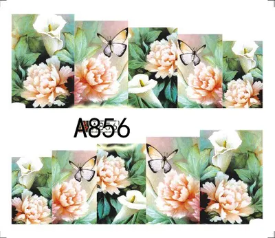 Tatuaj - A856