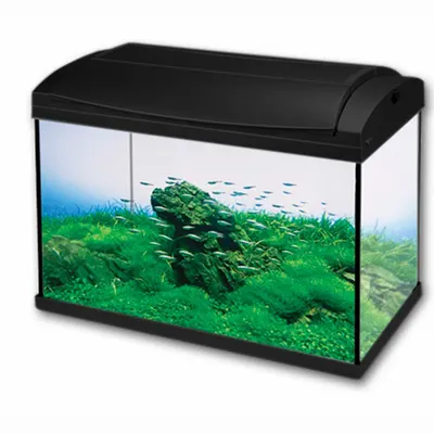 Hailea Acvariu F60 60l Negru