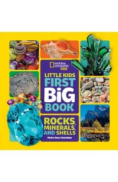 Little Kids First Big Book of Rocks, Minerals & Shells