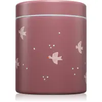 FRESK Food Jar termos pentru mâncare Swallow 500 ml