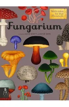 Fungarium: Welcome to the Museum