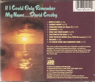 If I Could Only Remember My Name..