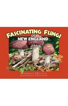 Fascinating Fungi of New England