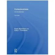 Consciousness