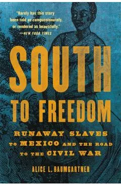 South to Freedom: Runaway Slaves to Mexico and the Road to the Civil War
