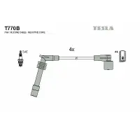Set cablaj aprindere TESLA T770B