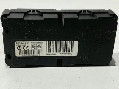 Modul control presiune pneuri 9664919880 Citroen C5 III (2008-2012) 2.0 hdi RHH 163 cp