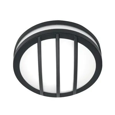 Aplica Sven 1 Light Wall/Ceiling Lantern