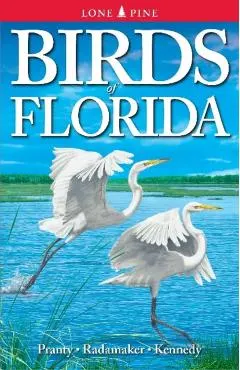 Birds of Florida