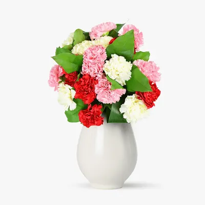 Buchet de 19 garoafe multicolore
