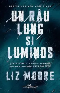 eBook Un rau lung si luminos