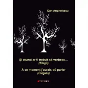 Si atunci ar fi trebuit sa vorbesc… (Elegii)