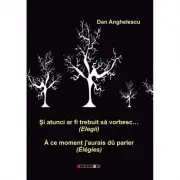 Si atunci ar fi trebuit sa vorbesc… (Elegii)