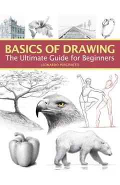 Basics of Drawing: The Ultimate Guide for Beginners