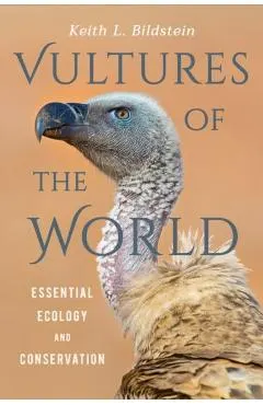 Vultures of the World: Essential Ecology and Conservation