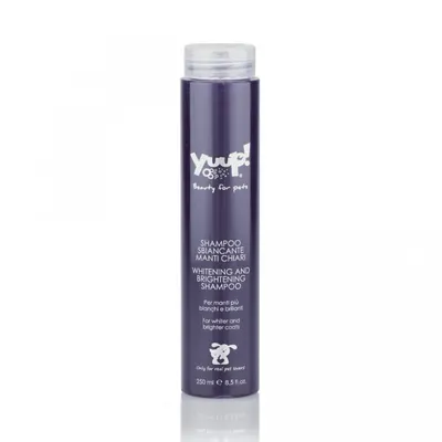 Sampon Yuup Home White - 250ml