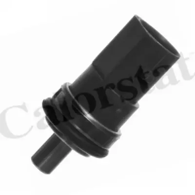 Senzor temperatura lichid racire CALORSTAT by Vernet WS2604