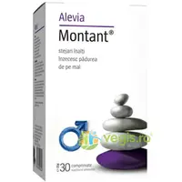 Montant 30cpr