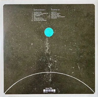 The Overview - Vinyl
