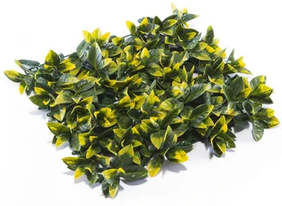 Panou decorativ Inter Ceramic - Green Wall, 50 x 50 x 5 cm