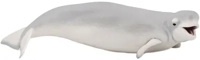 Figurina Papo Marine Life – Beluga