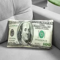 Perna Decorativa 100 Dolari , Viseaza ca un Milionar!