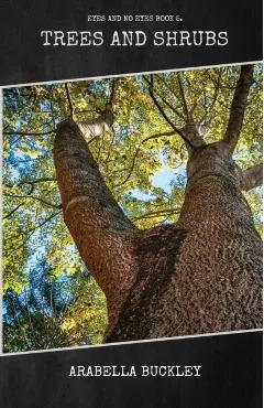 Trees and Shrubs