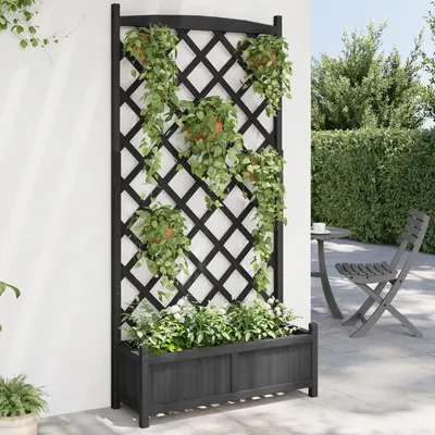 Gossi jardiniera cu spalier, negru, lemn masiv de brad