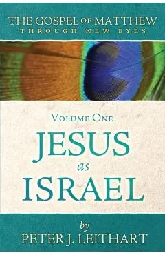 The Gospel of Matthew Through New Eyes Volume One: Jesus as Israel