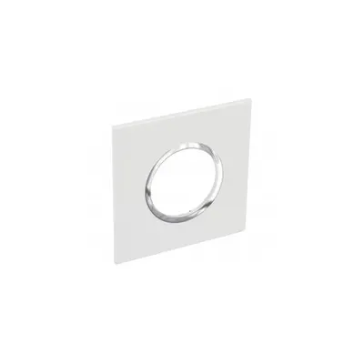 Plate British standard Arteor - rotund - 2 module - alb