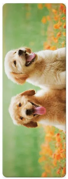 Semn de carte 3D Simetro Books - Palet retriever