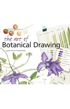 Art of Botanical Drawing