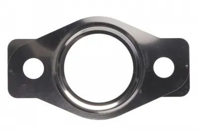 Garnitura Supapa Egr Potrivit Rvi Mascott; Nissan Cabstar, Interstar, Nt400 Cabstar, Patrol Gr V, Terrano Ii, Atleon, Nt500; Opel Movano A; Renault Master Ii, Master Pro 3.0d 10.97