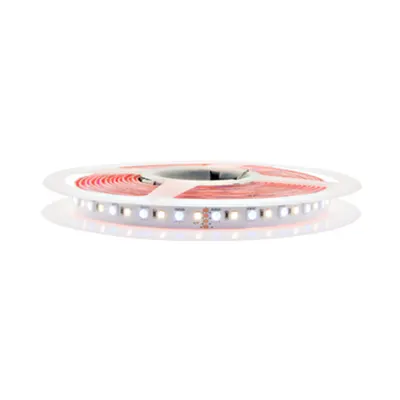 LED Strip 115 RGB-WW IP43,RA90+,885lm/m,12W/m L=5m, 24VDC
