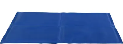 Saltea Racoritoare 100 x 60 cm Albastru 28688