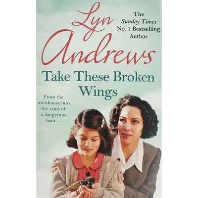 Take these Broken Wings
