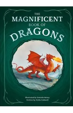 The Magnificent Book of Dragons