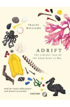 Adrift: The Curious Tale of the Lego Lost at Sea